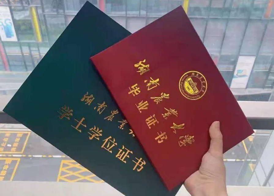 学历证书