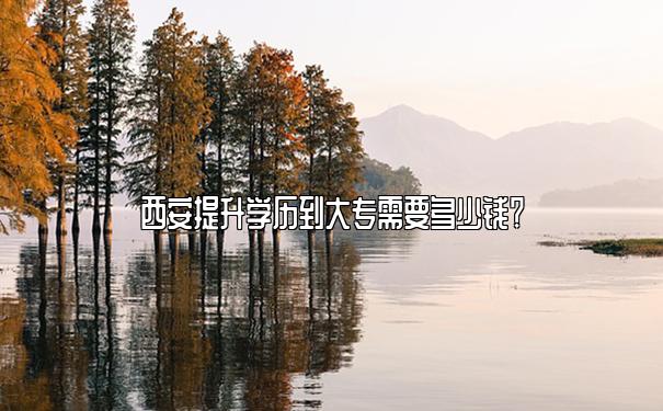 西安提升学历到大专需要多少钱？