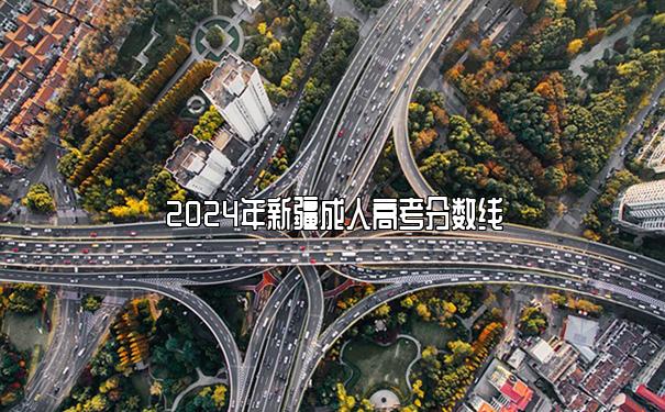 2024年新疆成人高考分数线